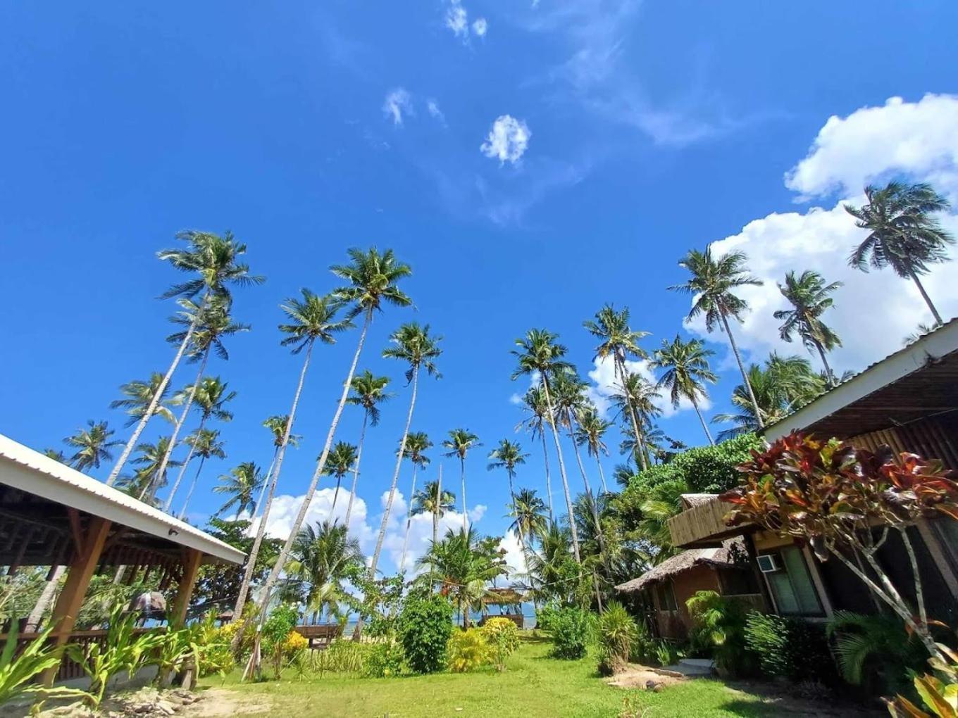 Amihan Beach Hostel San Vicente  Exterior photo