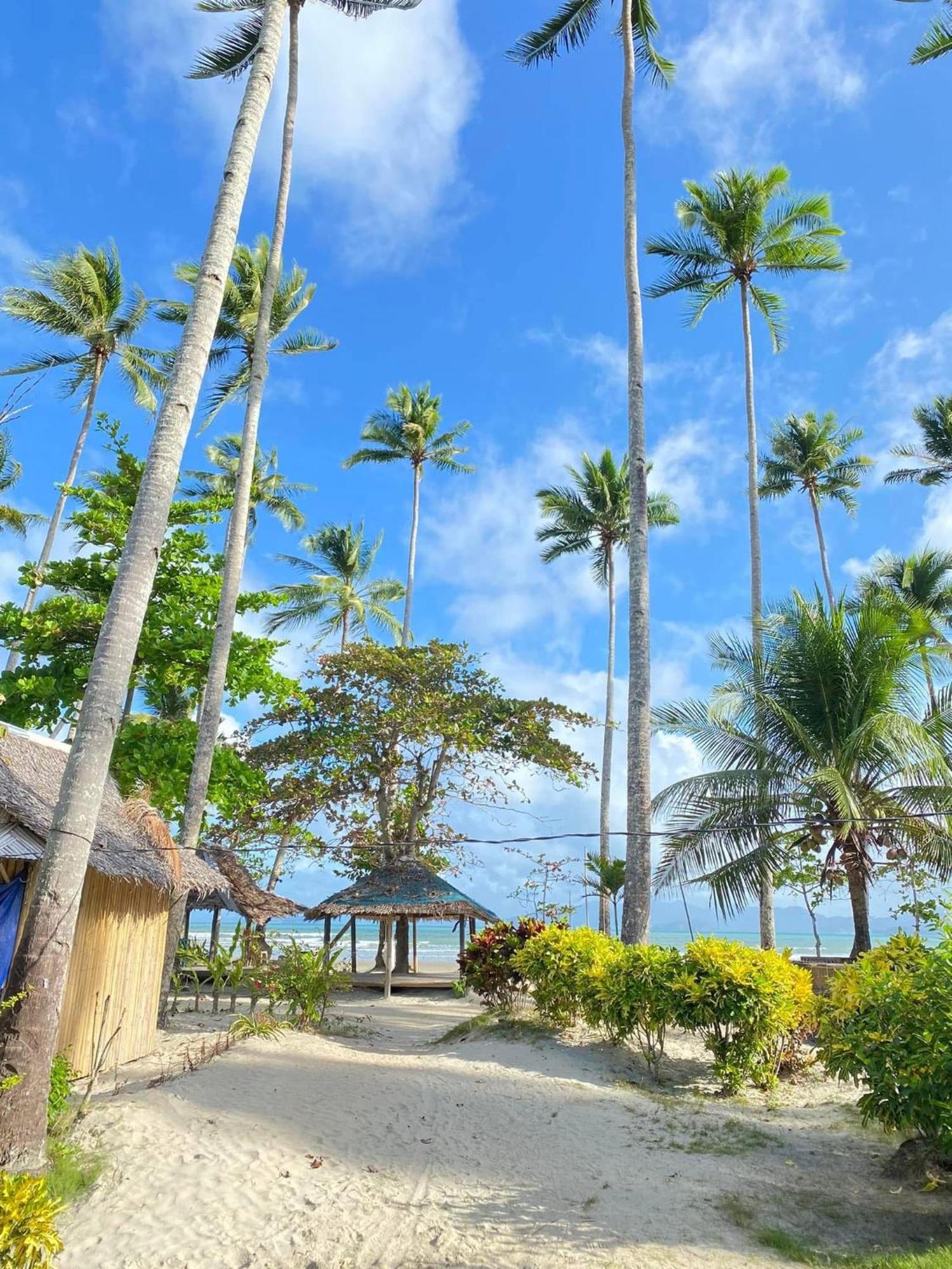 Amihan Beach Hostel San Vicente  Exterior photo
